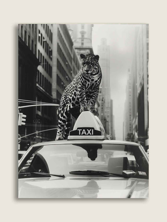Taxi Leopard
