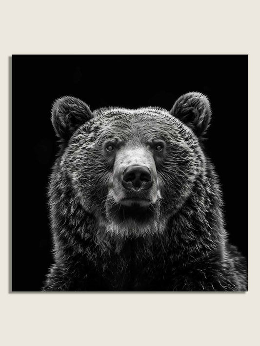 Bear BW